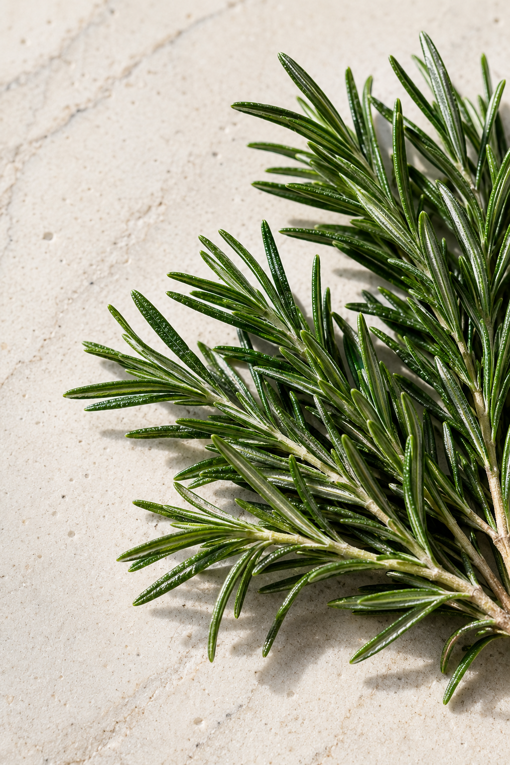 Rosemary